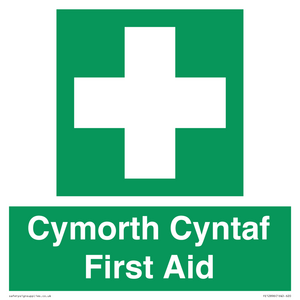 Cymorth Cyntaf First Aid in Welsh